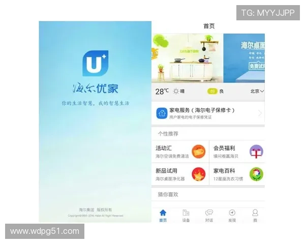 探索皇家平台APP的独特功能与用户体验